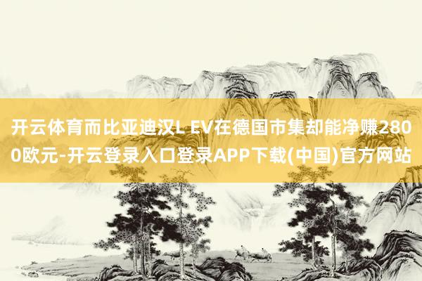 开云体育而比亚迪汉L EV在德国市集却能净赚2800欧元-开云登录入口登录APP下载(中国)官方网站