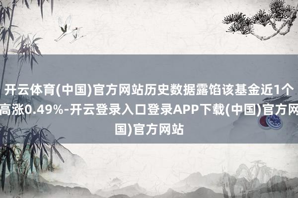 开云体育(中国)官方网站历史数据露馅该基金近1个月高涨0.49%-开云登录入口登录APP下载(中国)官方网站