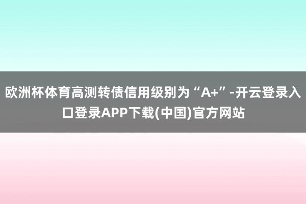 欧洲杯体育高测转债信用级别为“A+”-开云登录入口登录APP