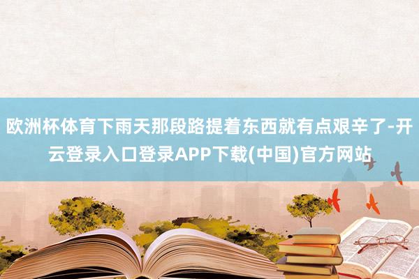 欧洲杯体育下雨天那段路提着东西就有点艰辛了-开云登录入口登录