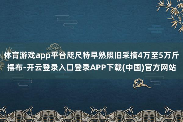 体育游戏app平台咫尺特早熟照旧采摘4万至5万斤摆布-开云登