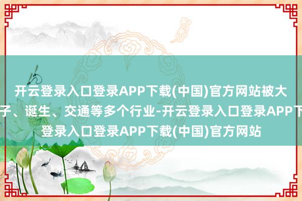 开云登录入口登录APP下载(中国)官方网站被大批期骗于电力、